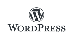 come fare seo su wordpress